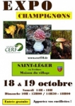 Cliquez sur l'image Expo Champignons  St Lger pour la voir en grand - BeynesActu - Expo Champignons  St Lger