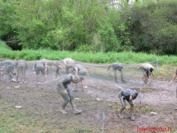 Cliquez sur l'image The Mud Day Paris 2014 pour la voir en grand - BeynesActu - The Mud Day Paris 2014