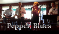 Cliquez sur l'image Concert Pepper Blues à Beynes pour la voir en grand - BeynesActu - Concert Pepper Blues à Beynes